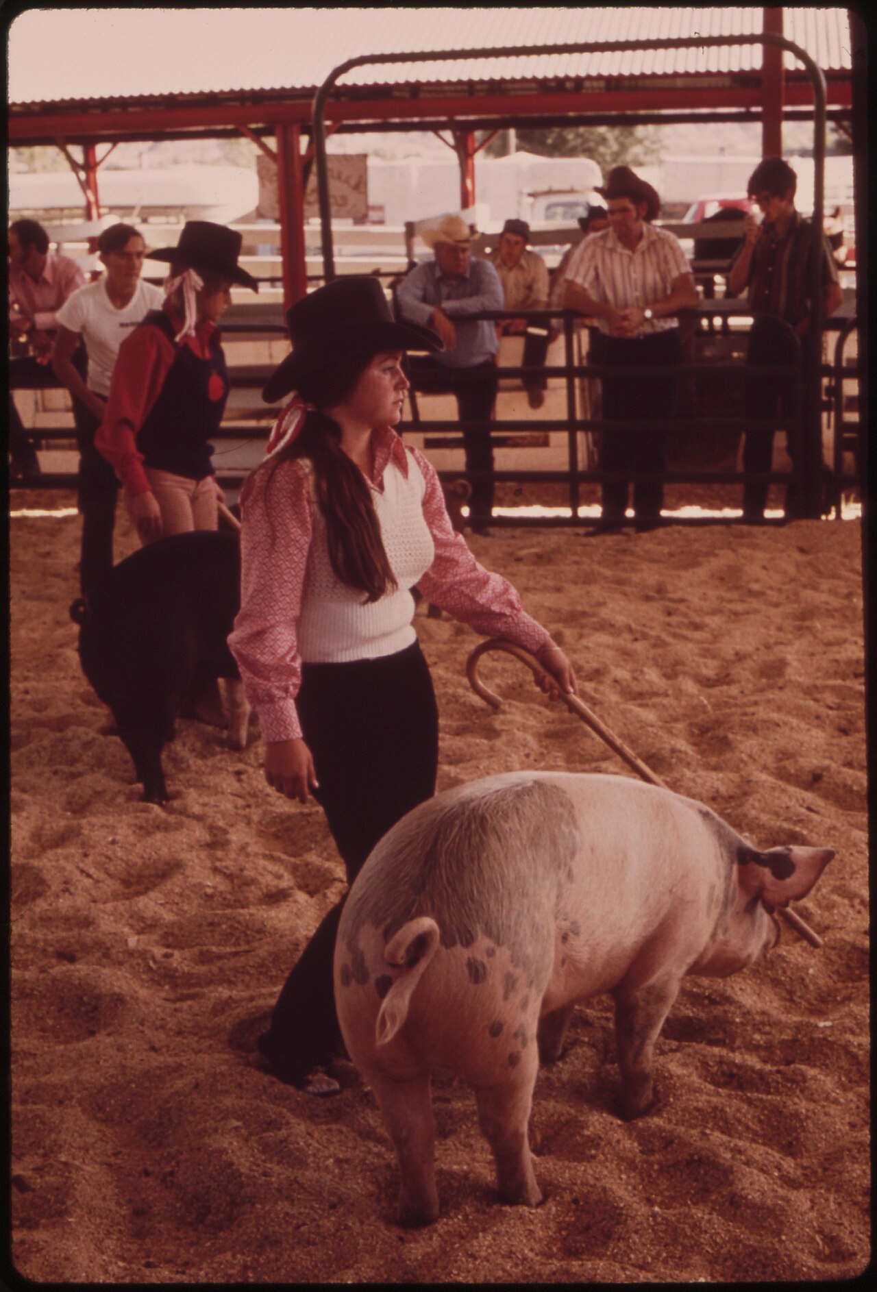 Garfield County Fair